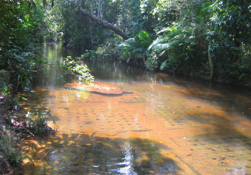 Experience Phnom Kulen’s heritage with guided tours